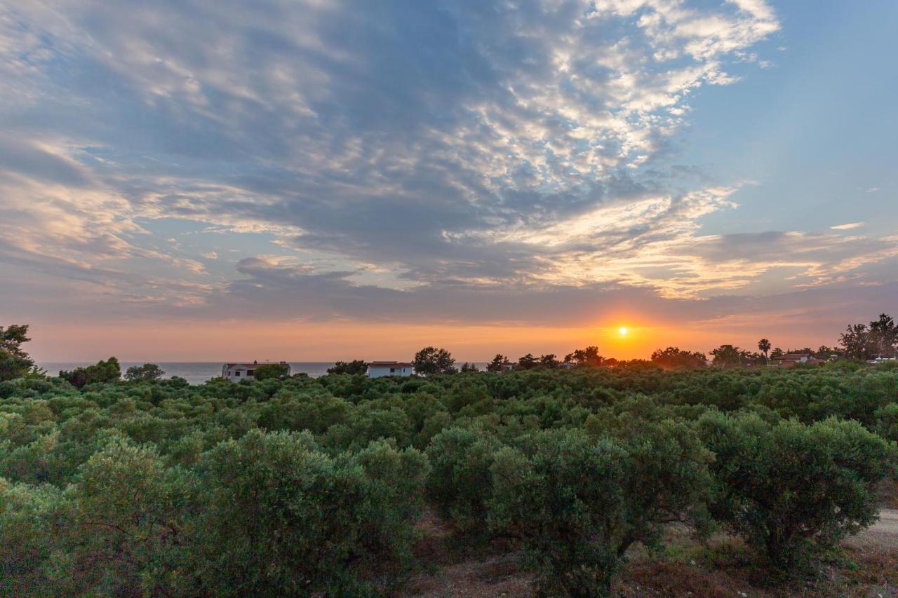 Varkes Suites 1 Νέα Ποτίδαια Εξωτερικό φωτογραφία